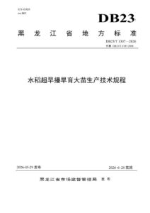 DB23/T 1307—2026 水稻超早播育苗大苗生产技术规程