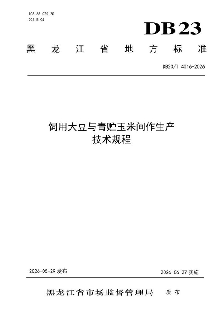DB23/T 4016—2026 饲用大豆与青贮玉米间作生产技术规程