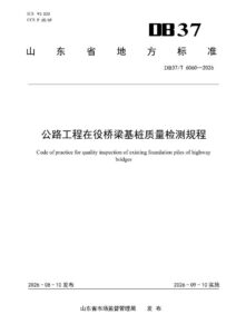 DB37/T 6060—2026 公路工程在役桥梁基桩质量检测规程