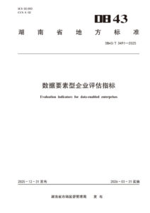 DB43/T 3491-2025 数据要素型企业评估指标