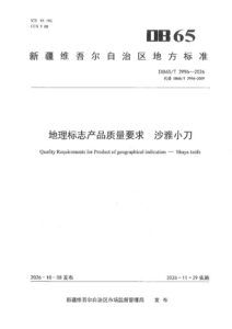 DB65/T 2996-2026 地理标志产品质量要求 沙雅小刀
