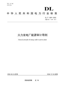 DL/T 1189—2026 火力发电厂能源审计导则
