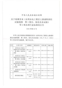 SL/T 31.1-2025 水利水电工程岩土渗透性原位试验规程 第1部分：钻孔压水试验 扫描版