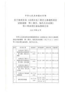 SL/T 31.3-2025 水利水电工程岩土渗透性原位试验规程 第 3 部分：钻孔抽水试验