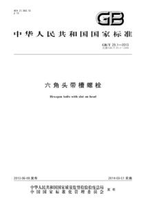 GB/T 29.1-2013 六角头带槽螺栓